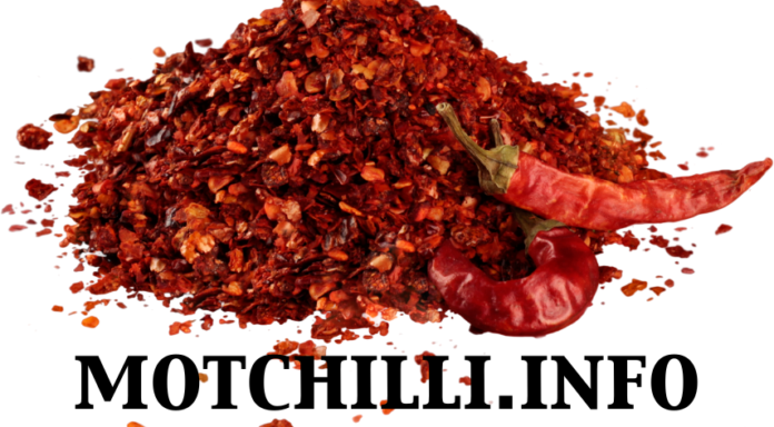 motchilli.info